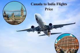 Canada to India Flights Price