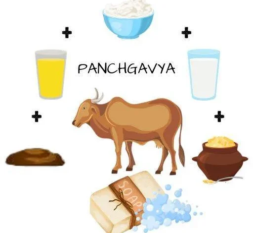 Panchagavya Products