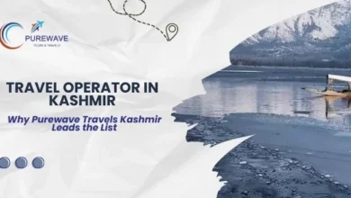 Best Tour Operator in Kashmir