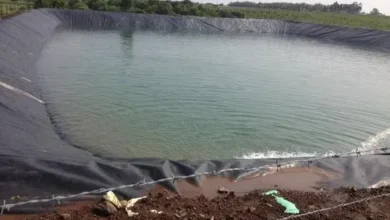 HDPE Pond Liner Manufacturer