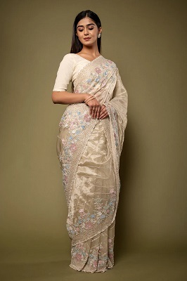 Tissue Saree