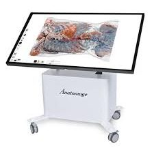 Anatomage Table