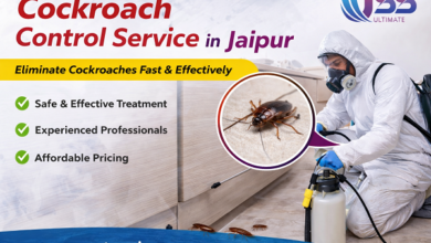 Cockroach Control Service in Jaipur