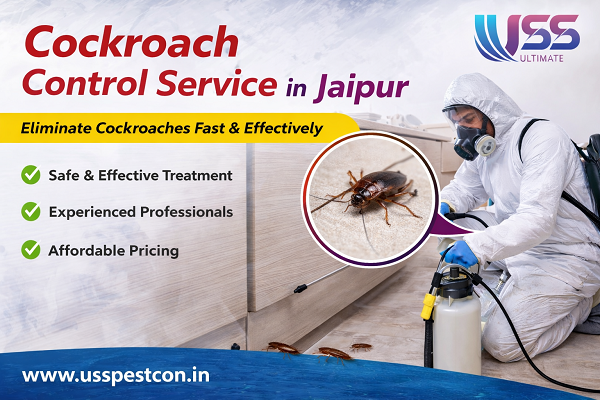 Cockroach Control Service in Jaipur
