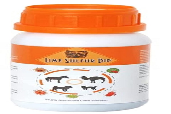 Sulfur Dip Cat