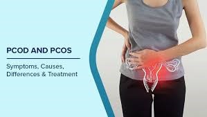 Pcos Treatment in Chennai