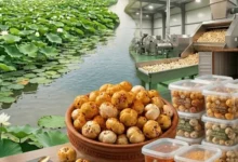 White Label Makhana Manufacturer