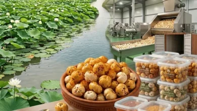 White Label Makhana Manufacturer