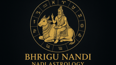 Best Bhrigu Nandi Nadi Astrologer
