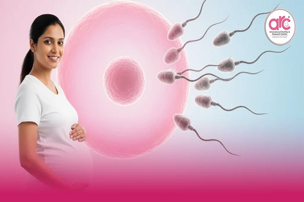 Ivf Clinic in Singanallur