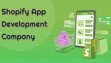 Custom Shopify App Development