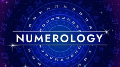 Online Numerology Consultation