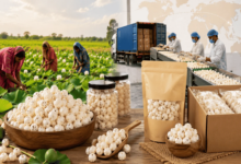 Roasted makhana manufacturer in india