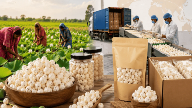 Roasted makhana manufacturer in india