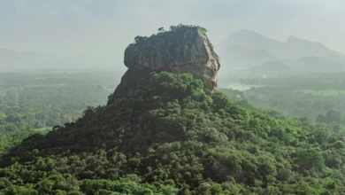 Sri Lanka DMC