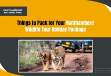 Ranthambore wildlife Sanctuary