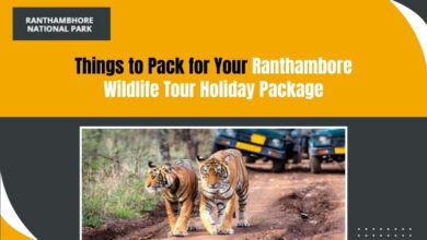 Ranthambore wildlife Sanctuary