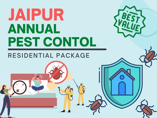 Pest Control Jaipur