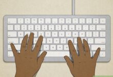 Typing Test Fast Finger