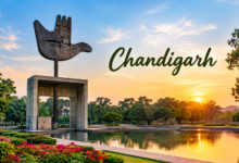 Best Places to Visit in Chandigarh