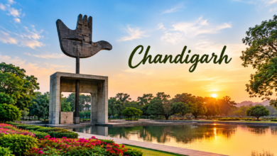 Best Places to Visit in Chandigarh