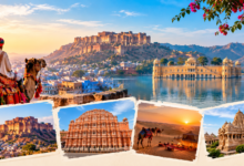 Rajasthan in December