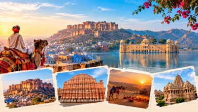 Rajasthan in December