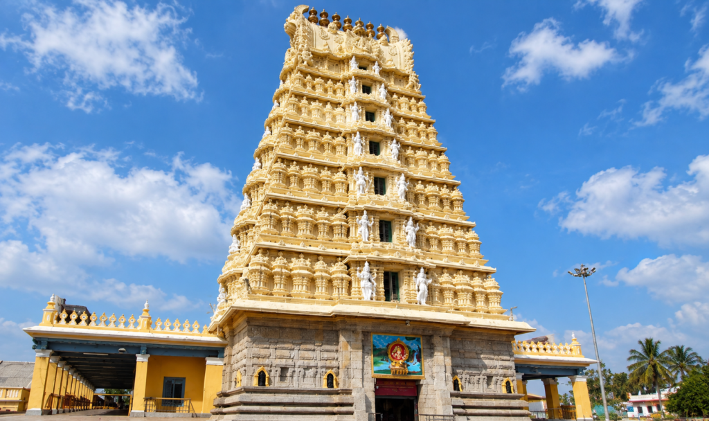Karnataka Travel Guidelines